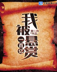 我被悬赏一百亿章节列表