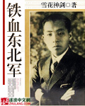 铁血东北军章节列表