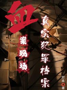 不看美女和大腿，来看杀人和悍匪章节列表