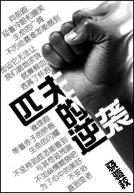 匹夫的逆袭章节列表