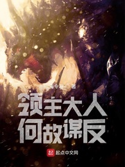领主大人何故谋反章节列表