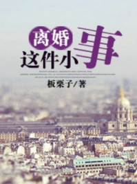 离婚这件小事章节列表